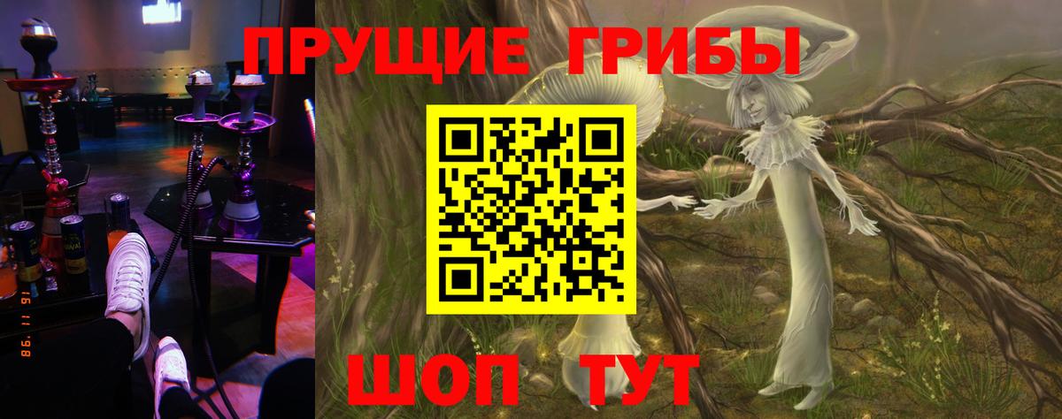Галлюциногенные грибы прущие грибы  Галлюциногенные грибы Cubensis  Вход с VPN  Ноябрьск 